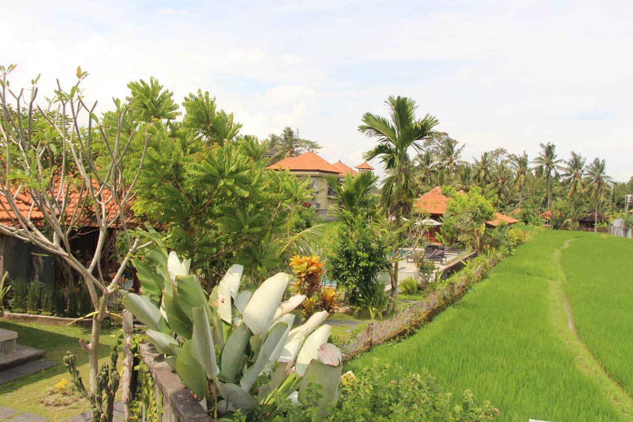 Nur Guest House By Purely อูบุด ภายนอก รูปภาพ
