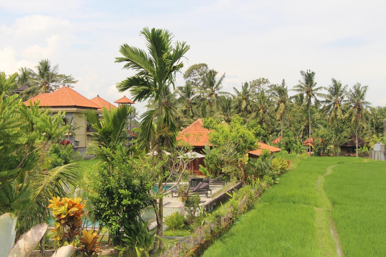 Nur Guest House By Purely อูบุด ภายนอก รูปภาพ